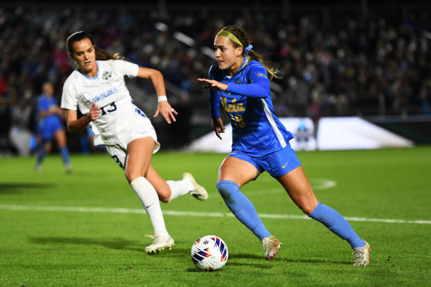 很可能会遭 很可能会遭